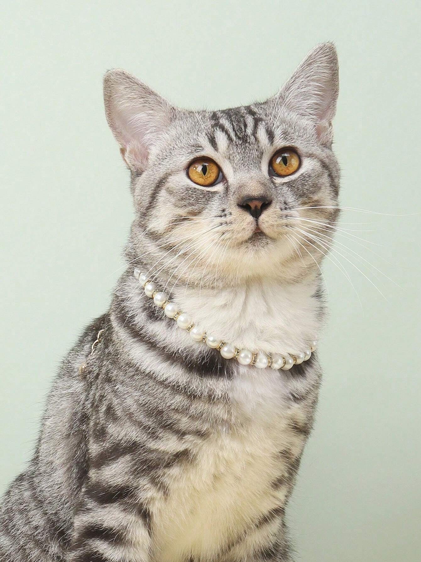 1Pc Love Pattern Jacquard Soft Pet Collar Suitable for Small Cats and Dogs (Not for Large Dogs)