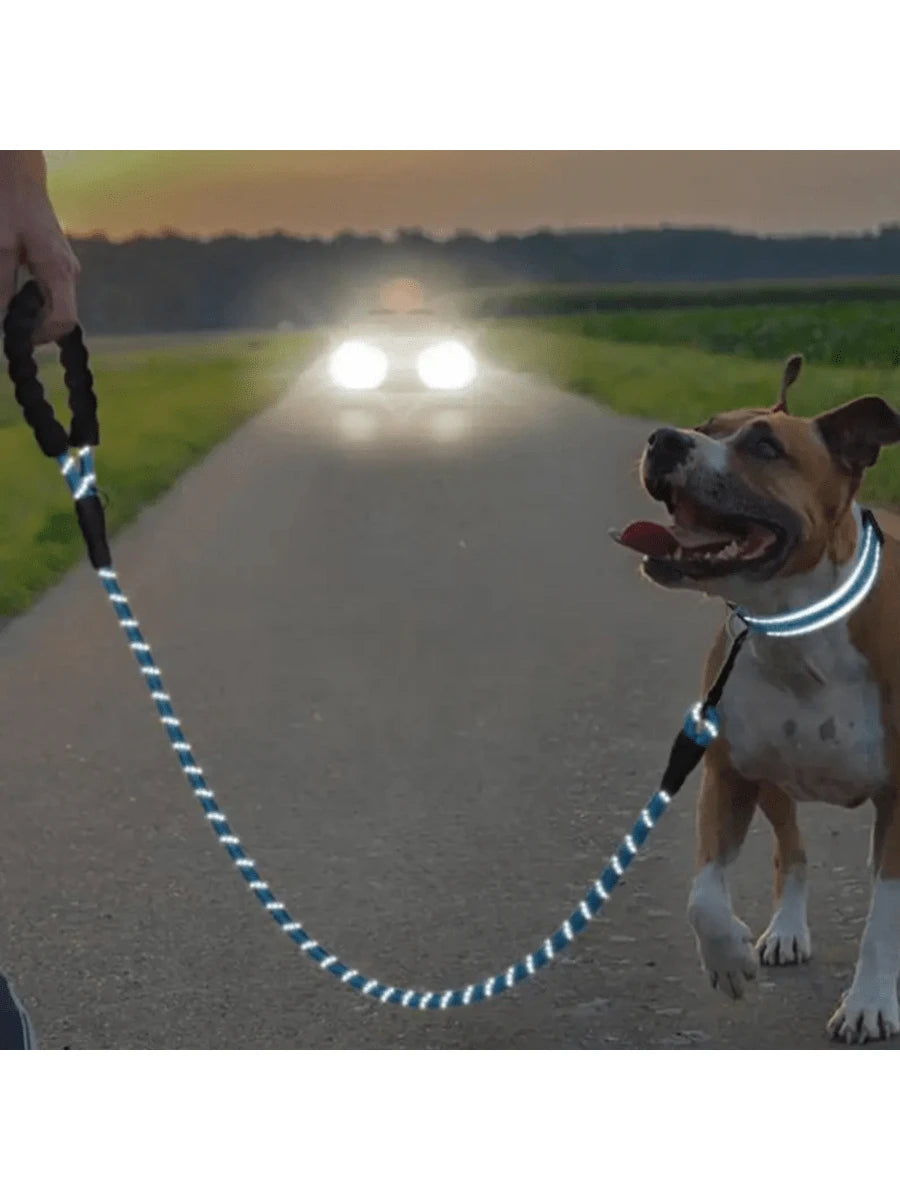 Premium Reflective Pet Leash & Adjustable Nylon Collar Set for Dogs of All Sizes