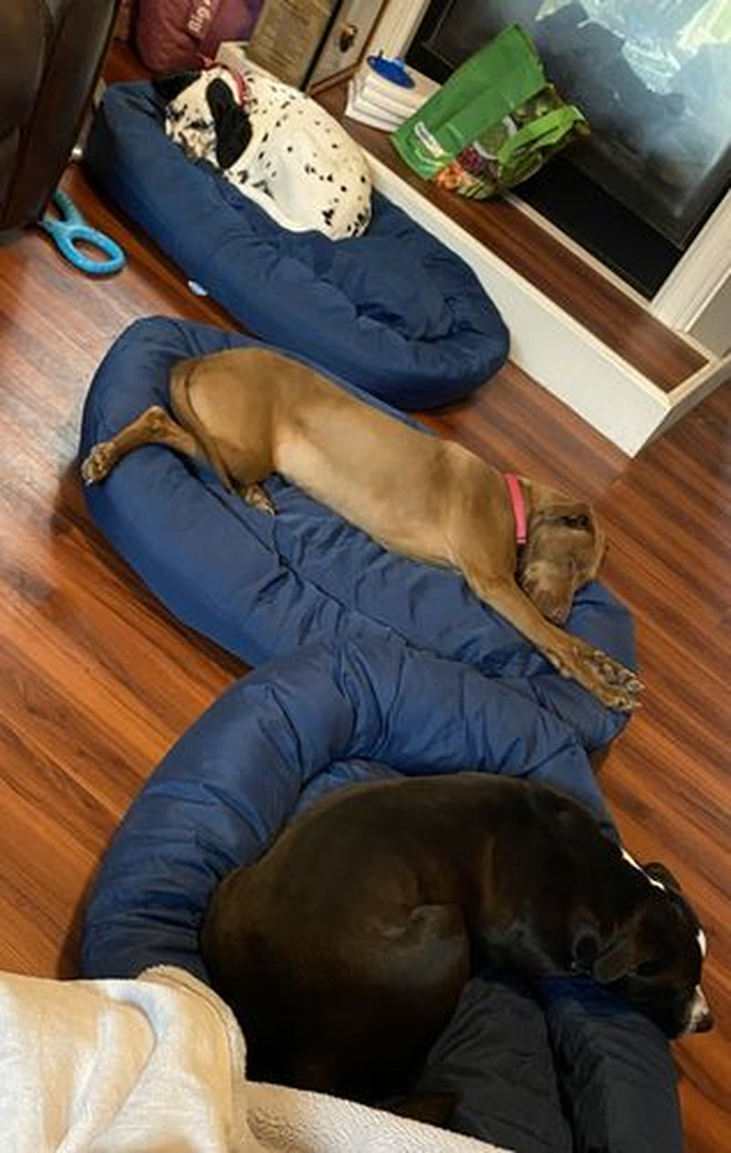 Cozypaws Original Reversible Orthopedic Dog Bed - Ultimate Comfort for Your Furry Friend