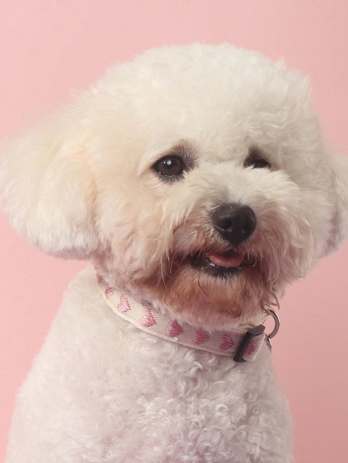 1Pc Love Pattern Jacquard Soft Pet Collar Suitable for Small Cats and Dogs (Not for Large Dogs)