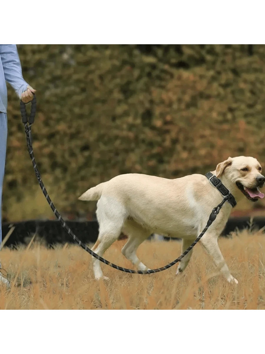 Premium Reflective Pet Leash & Adjustable Nylon Collar Set for Dogs of All Sizes