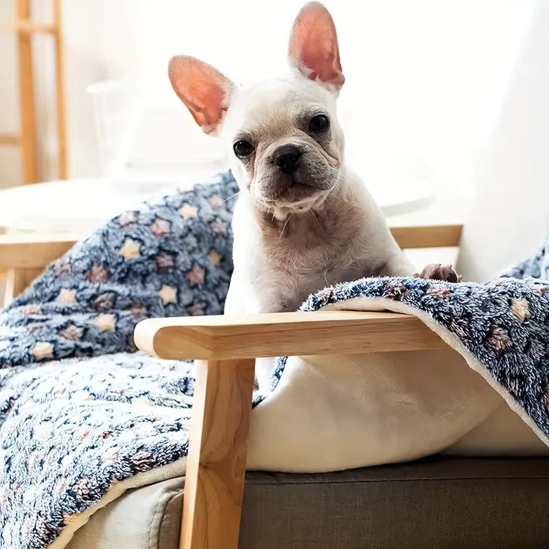 Ultimate Cozy Thicken Pet Mat - The Perfect Dog Bed & Cat Blanket for All Sizes