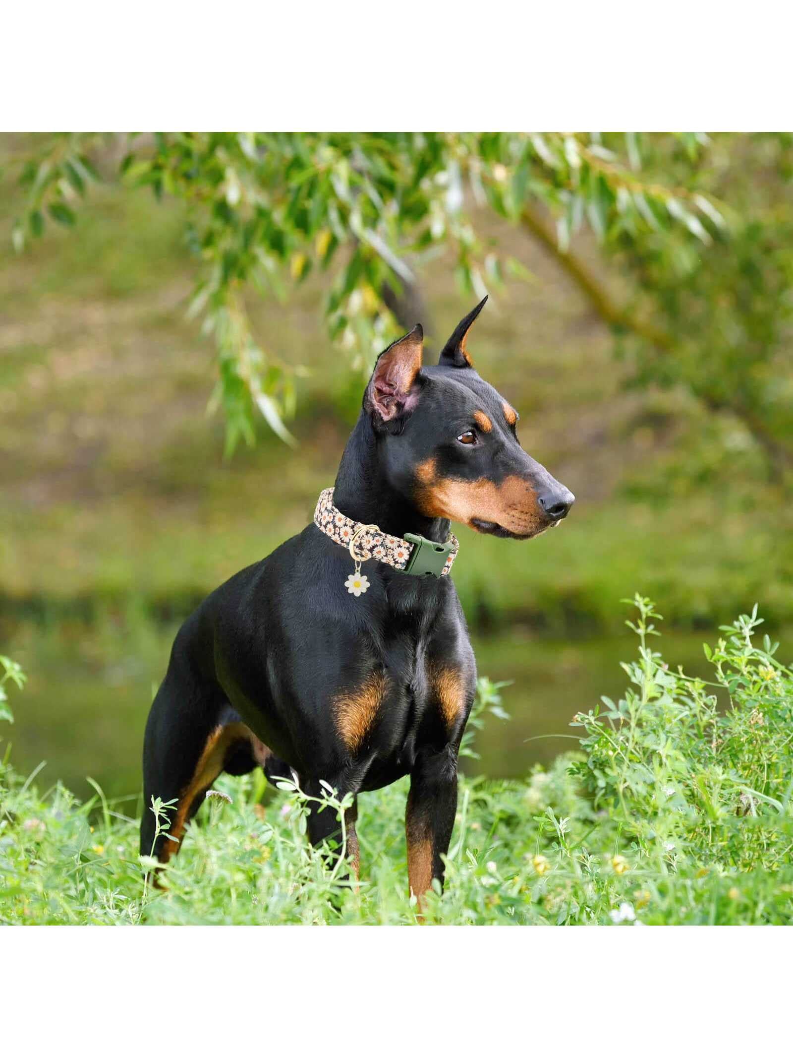Stylish Flower Pattern Quick Release Dog Collar for Indoor & Outdoor Adventures