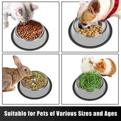 Premium Non-Slip Stainless Steel Pet Bowl with Rubber Base - Ideal for Food and Water!