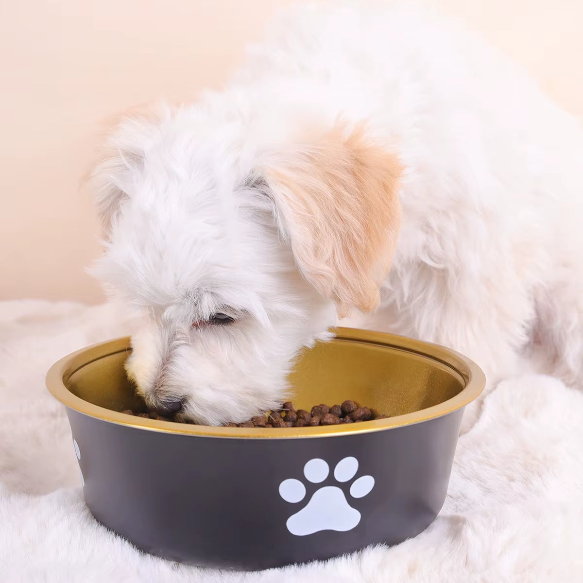 Stylish Golden Premium Stainless Steel Dog Bowl - Large Capacity & Anti-Knock Design for Mess-Free Feeding