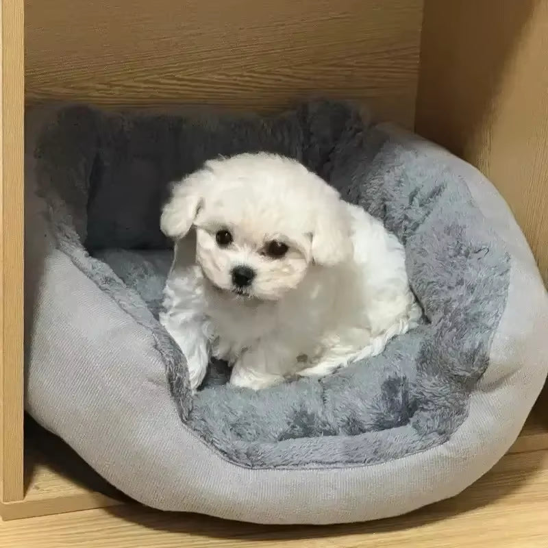 Ultimate Plush & Cozy Dog Bed - Perfect Sofa for Medium to Large Pets & Warm Cat House for Supreme Comfort