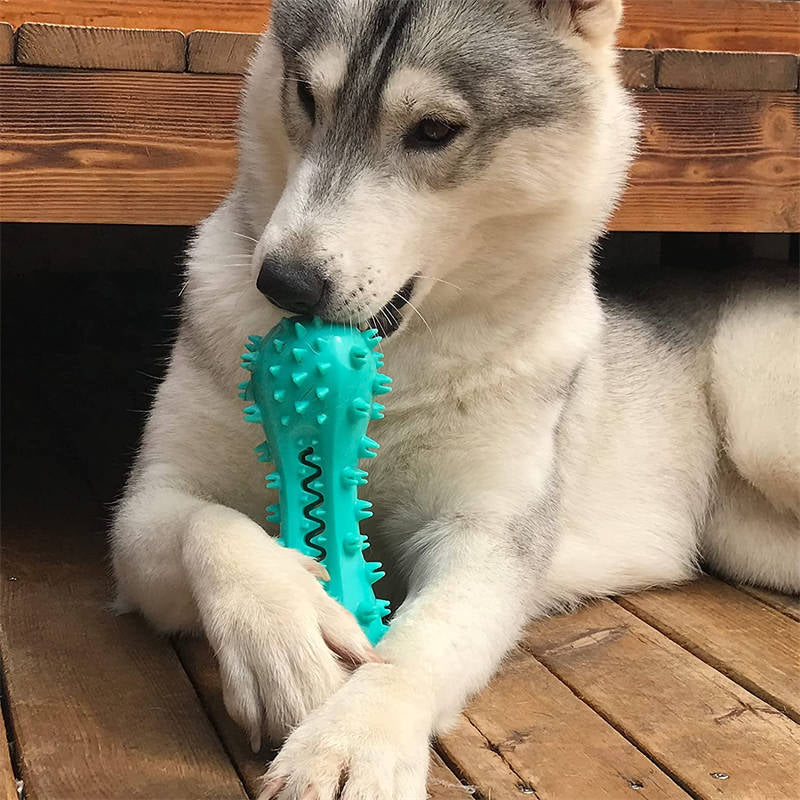 Ultimate Rubber Molar Stick: Chew Toys for Aggressive Dogs - Clean Teeth & Fresh Breath!