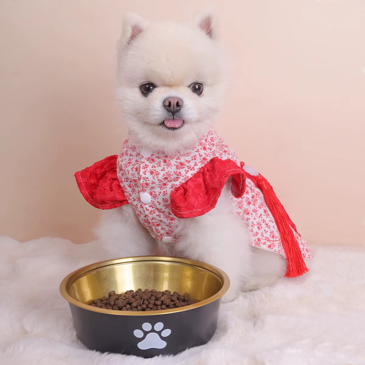 Stylish Golden Premium Stainless Steel Dog Bowl - Large Capacity & Anti-Knock Design for Mess-Free Feeding