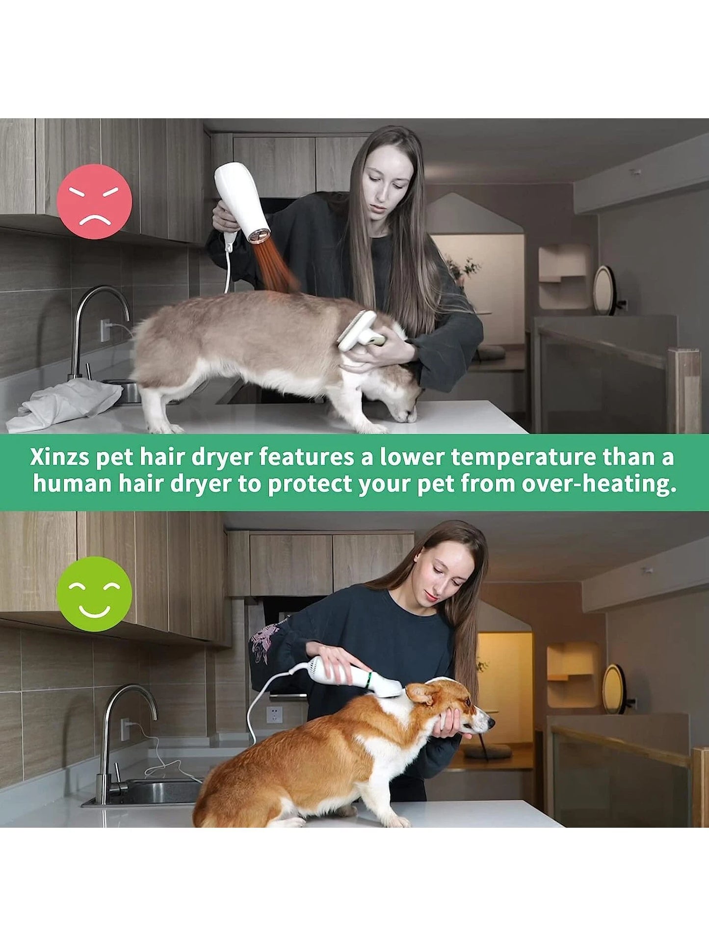 2-in-1 Pet Hair Dryer & Slicker Brush - Adjustable Temperature Grooming Tool for Small & Medium Dogs and Cats - White