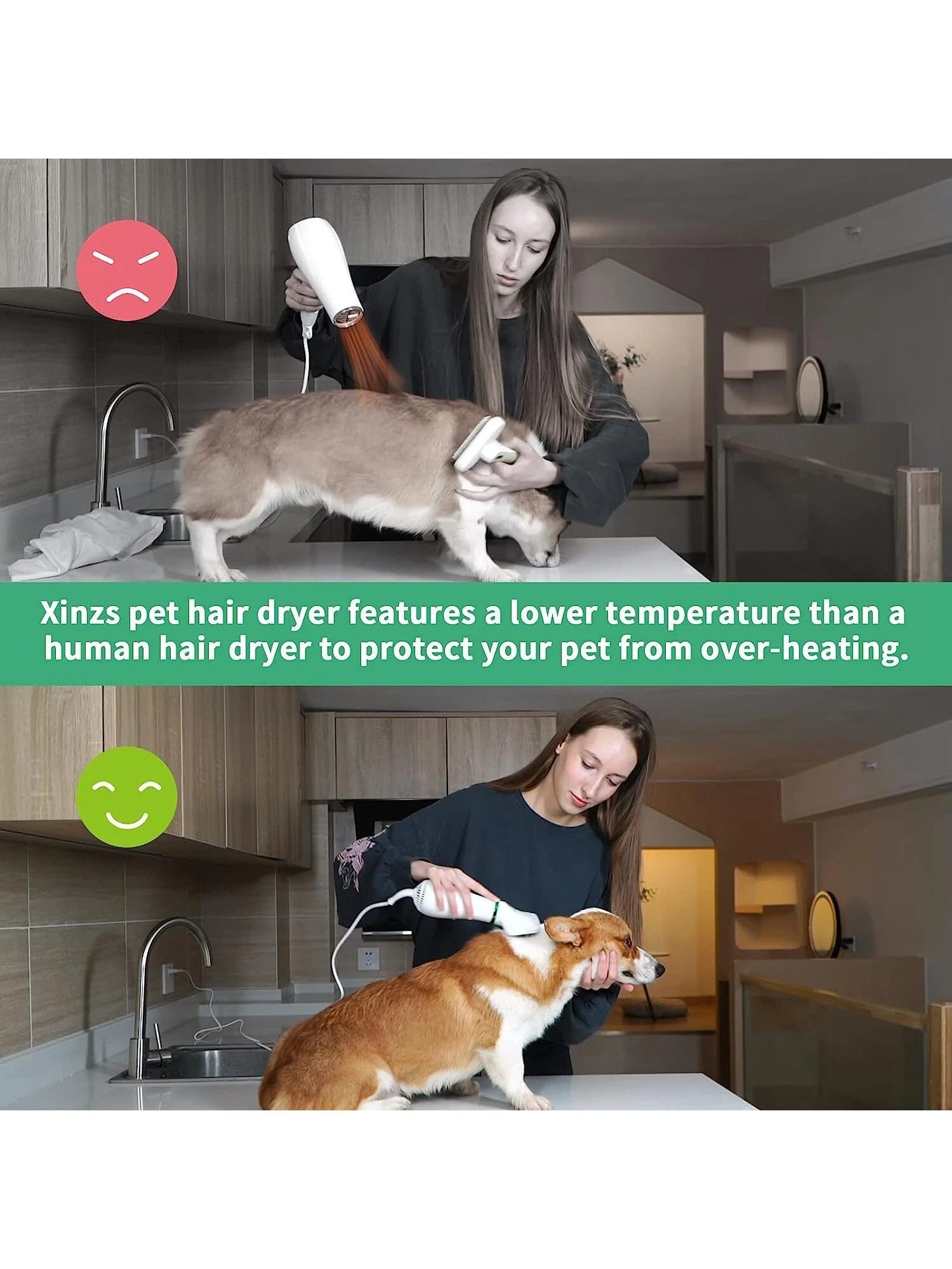 2-in-1 Pet Hair Dryer & Slicker Brush - Adjustable Temperature Grooming Tool for Small & Medium Dogs and Cats - White