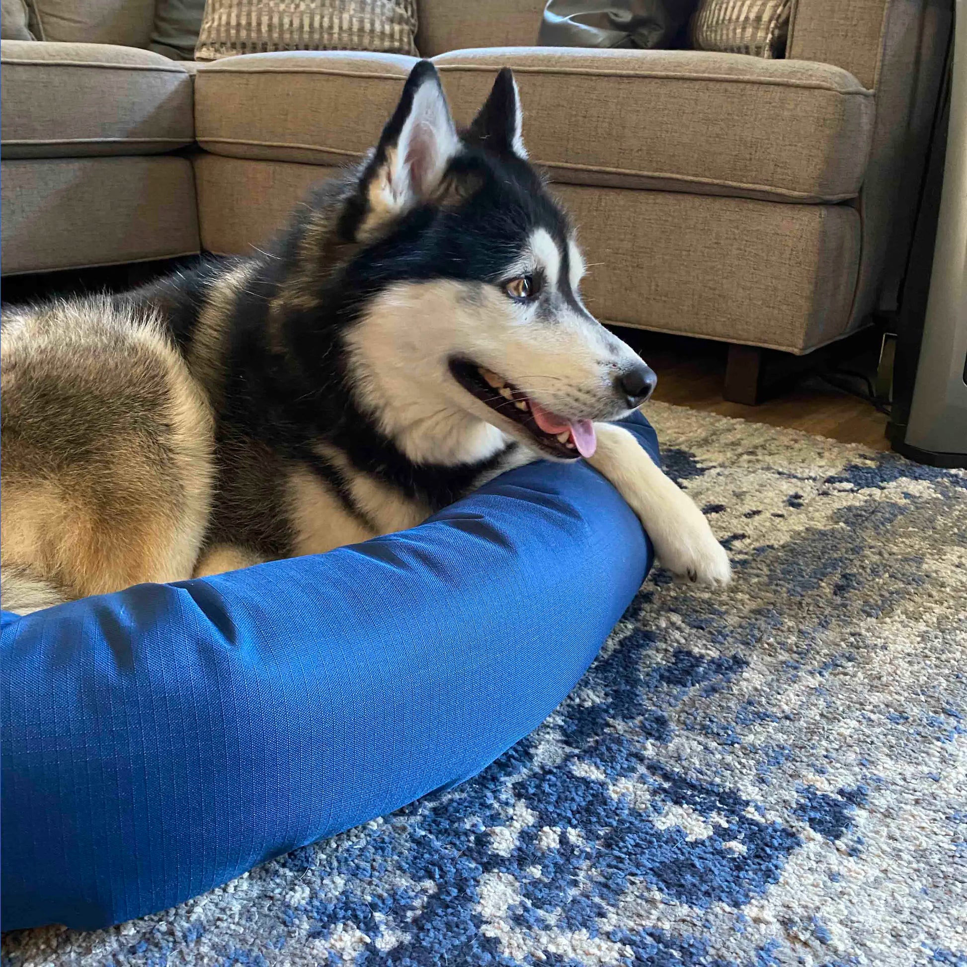 Cozypaws Original Reversible Orthopedic Dog Bed - Ultimate Comfort for Your Furry Friend