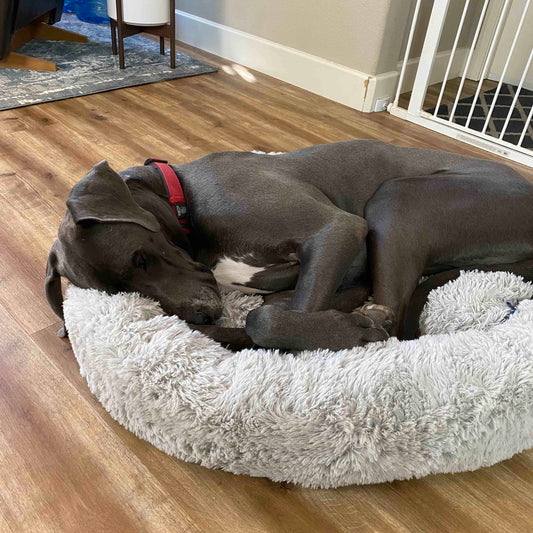 Cozypaws Original Reversible Orthopedic Dog Bed - Ultimate Comfort for Your Furry Friend