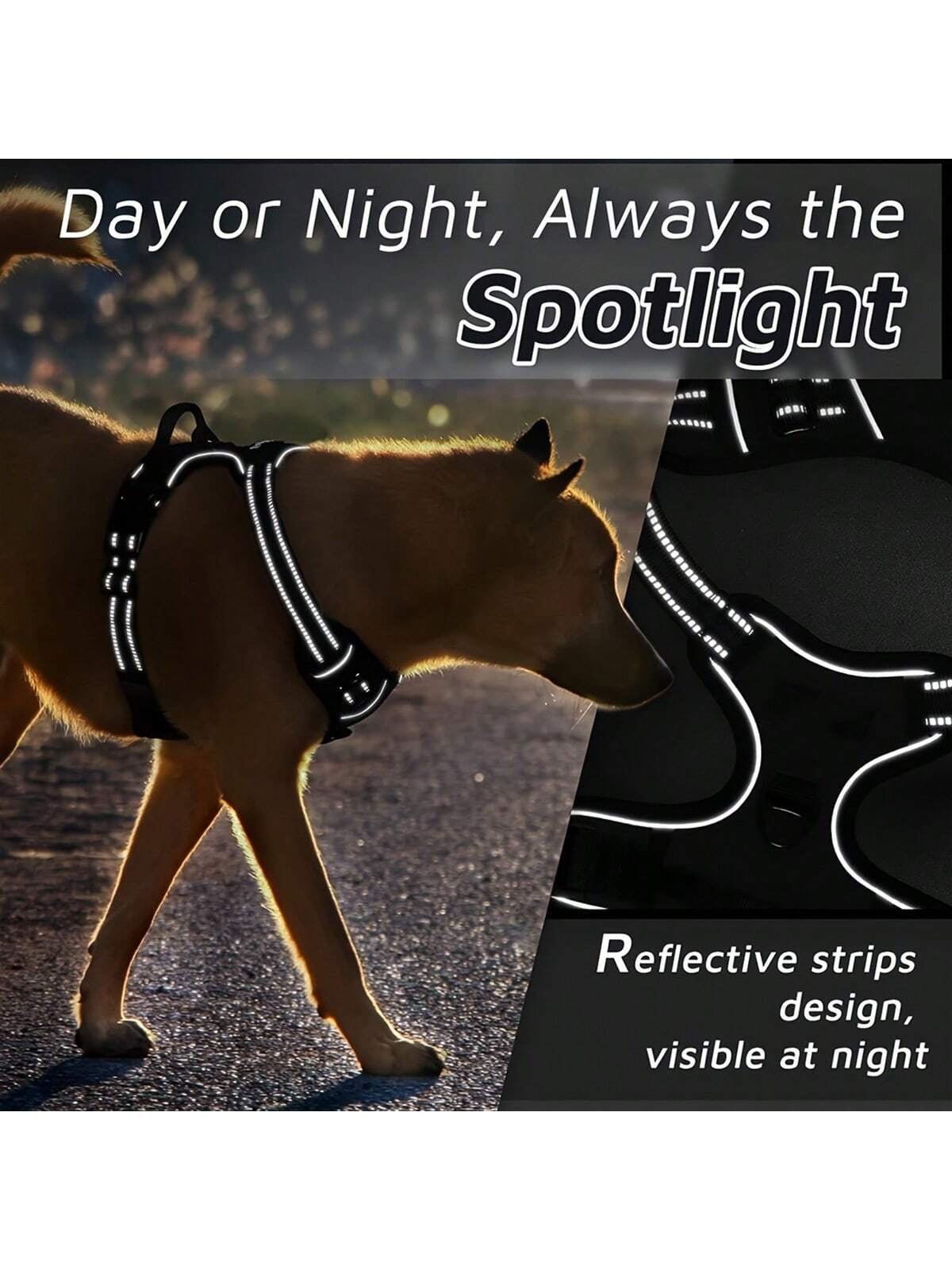 Reflective Dog Harness Set with 1.5m Leash - Breathable and Adjustable for All Dogs and Cats - Perfect for Safe Walks!