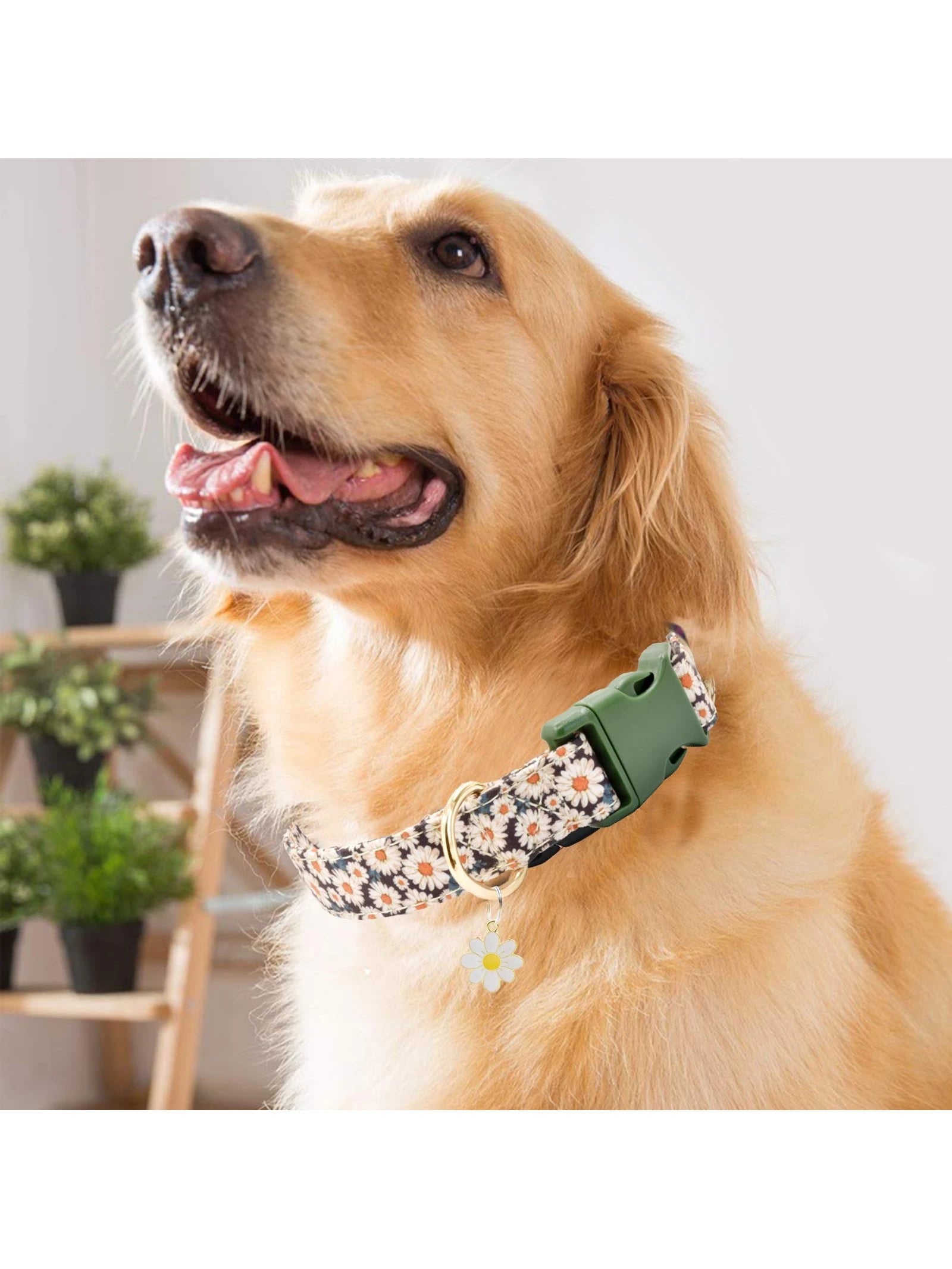 Stylish Flower Pattern Quick Release Dog Collar for Indoor & Outdoor Adventures