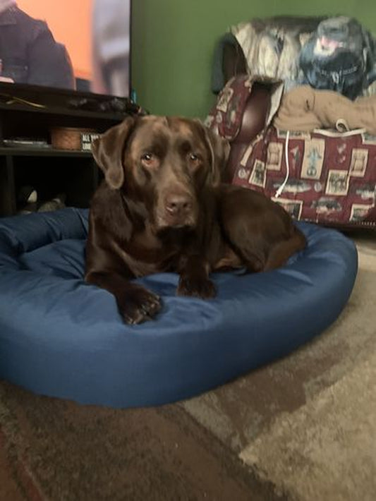 Cozypaws Original Reversible Orthopedic Dog Bed - Ultimate Comfort for Your Furry Friend
